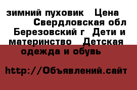 зимний пуховик › Цена ­ 1 100 - Свердловская обл., Березовский г. Дети и материнство » Детская одежда и обувь   
